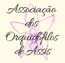 Logotipo da Entidade