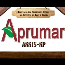 Logotipo da Entidade
